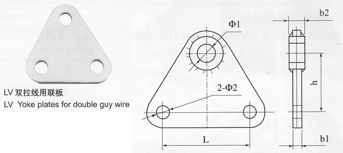 ˫壬C߼